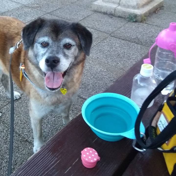 701bd9a9 2581 4cb4 9c4e da1215e473b8 1564740106452