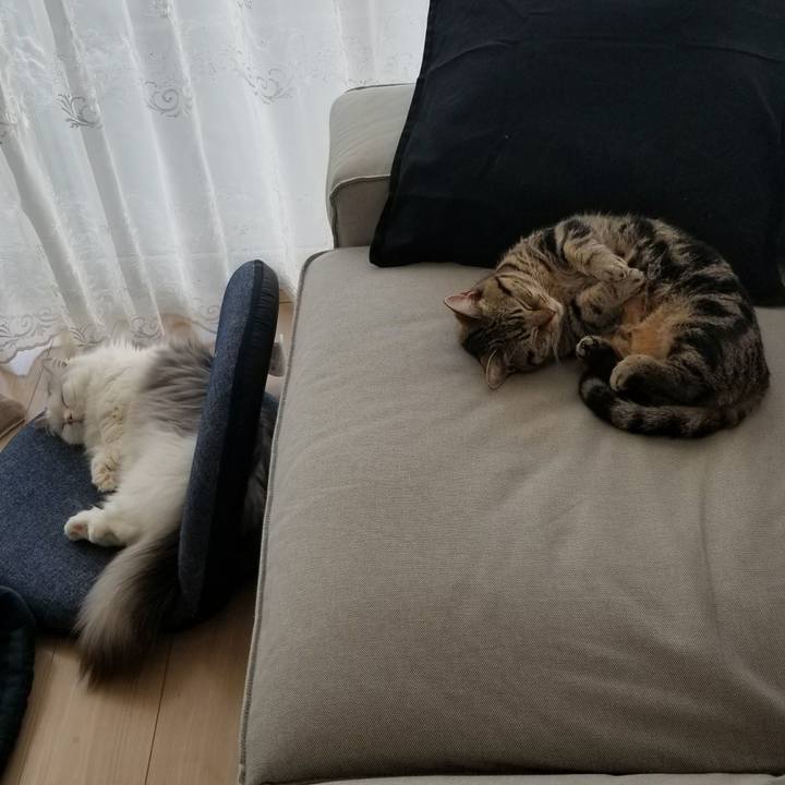 701bdb8d 4055 4140 b2e2 f896484ffc4a 1520656902585