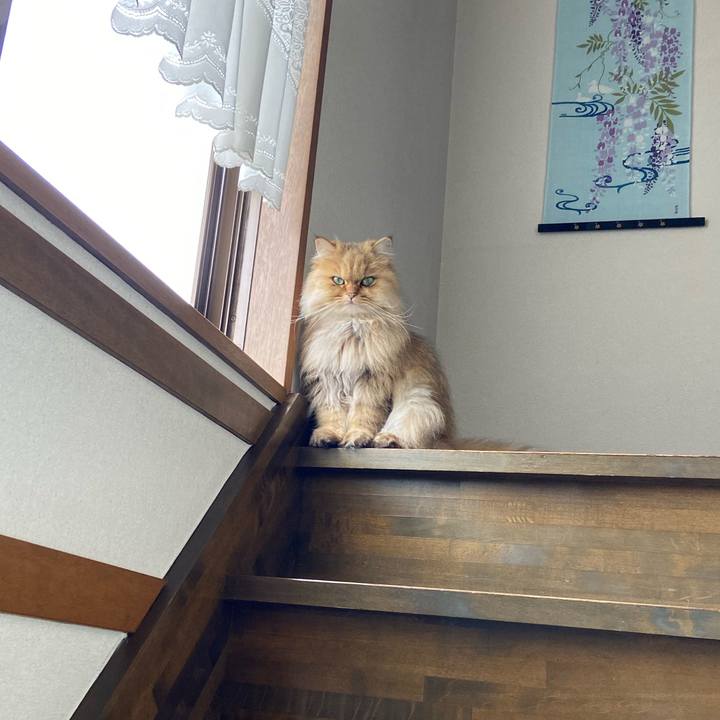 701bf046 c4fe 4b3b b309 90eecf12dcec 1589943211455