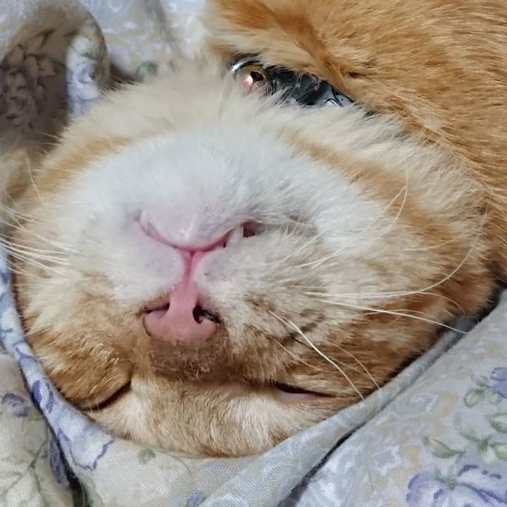 701c1ff4 2166 48a9 944f b27597c716af 1663331186806