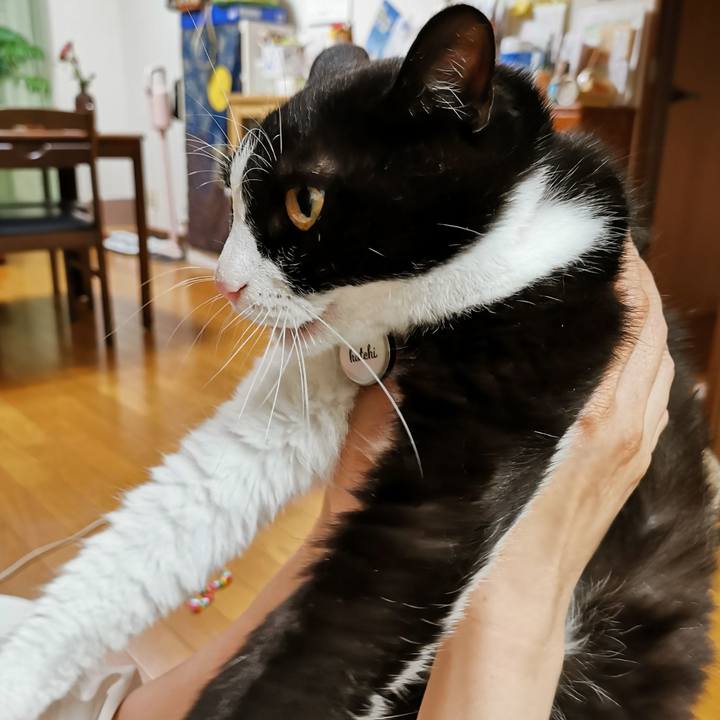 701c3e5d 9a6d 4ea6 879b c6c274719663 1658806365070