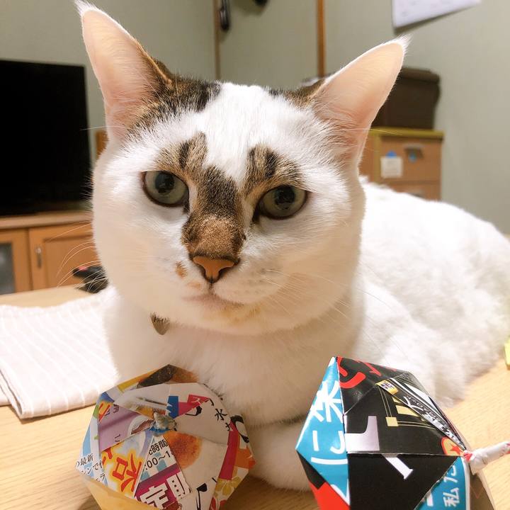 701c45a1 c46d 425c 8c53 d86872ca82c4 1568209130702