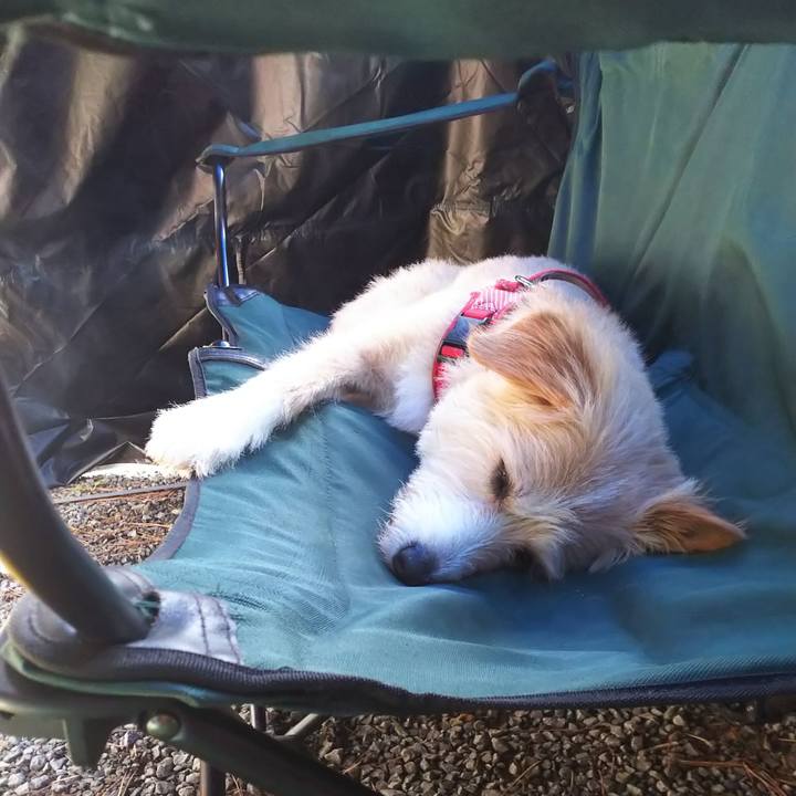 701c6190 005e 4397 a199 9348b552f62a 1563873586498