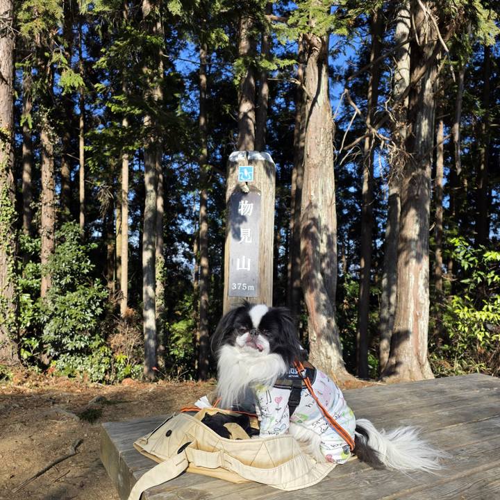 701c822d 0f20 4f9c bb65 59831cc066cd 1768302907687