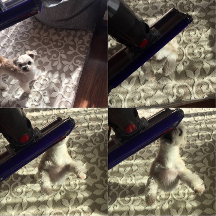 701ccb1d 18cf 44f4 88f9 f3a91e467daf 1543131243544