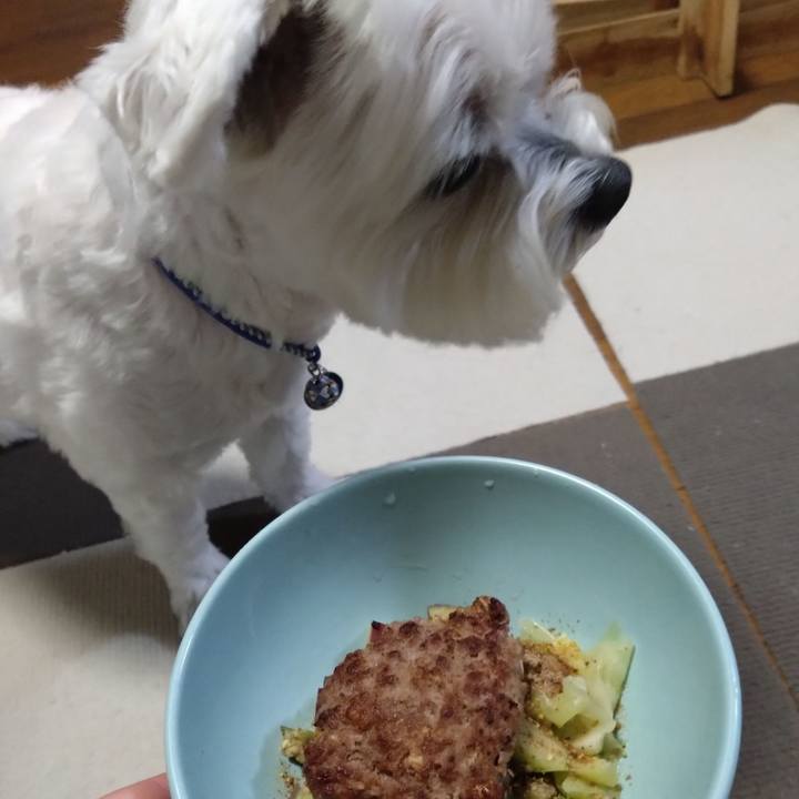 701d09d9 6872 4f6f 9631 184cee6242c7 1692095657593