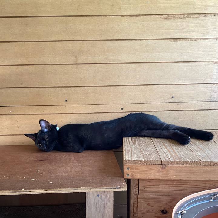 701d2d86 9622 4cd4 a1c9 cbee5ac286cb 1632119319171