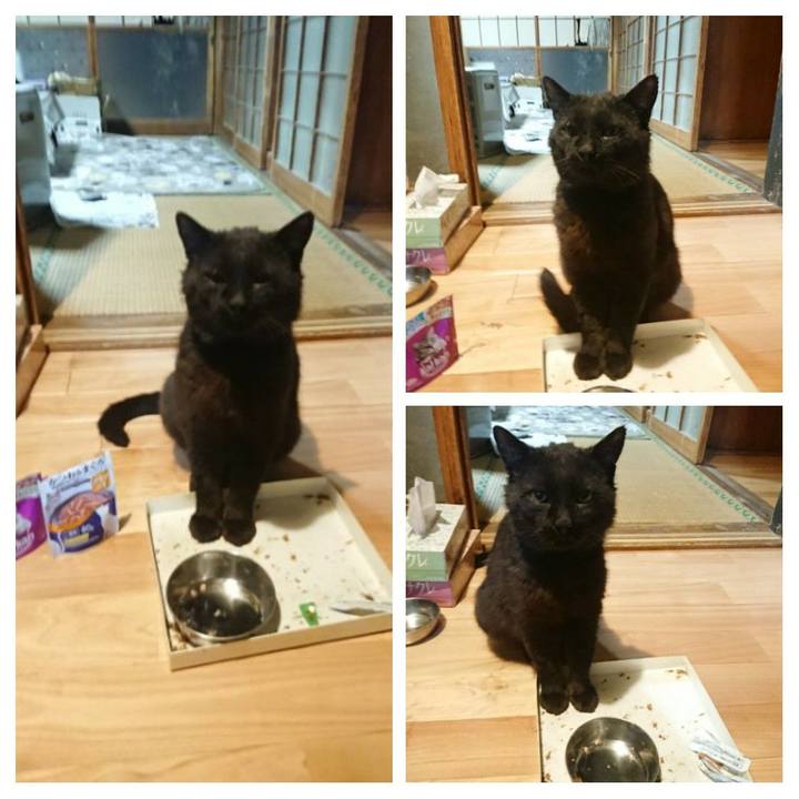 701d3fdd 98b6 4ca0 949b 9968e43534db 1622720703569