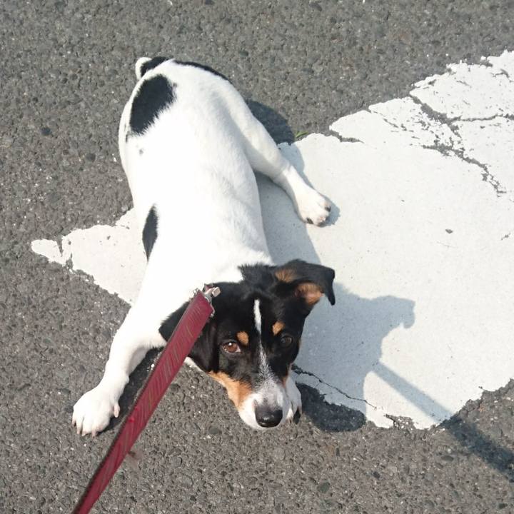 701d76ef 9eaf 4b67 abe8 89d7e1d4254b 1522720383671