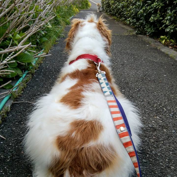 701da24b ee4f 4a41 b5ab 886b2e634034 1554257793200