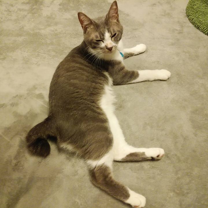 701da7c2 755c 4f42 b20f 0567f3e7b20b 1592744637694