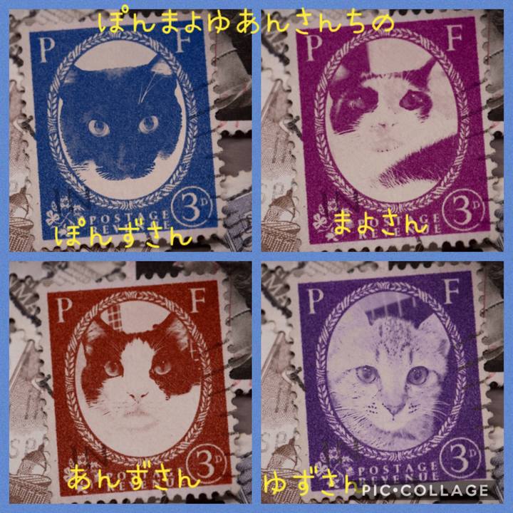 701da9c1 006e 479a 9682 886915effe4c 1570181608620