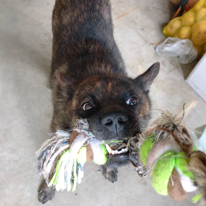 701dada9 84e3 4c85 8c52 6cecefdabdaa 1531018498270