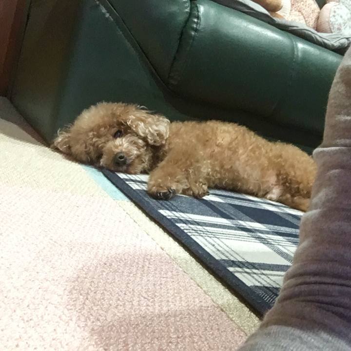 701deb91 6af6 41ea ac67 15d0250003ca 1512568076785