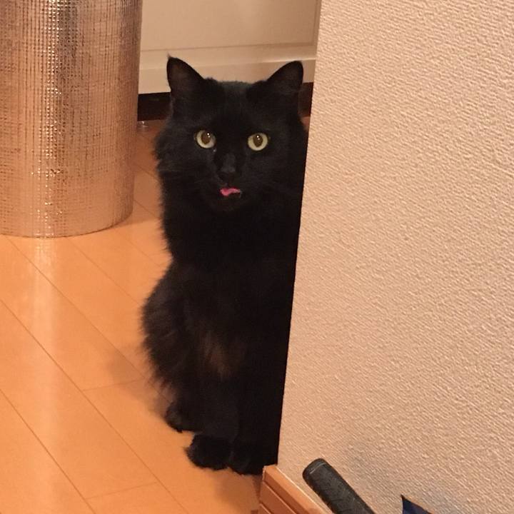 701e5c69 2695 4f62 8ff2 558429812f9e 1529496763811