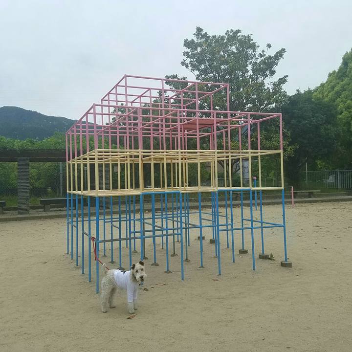 701e5d83 18f0 4d24 bc5a dde809d37ac1 1558188071677