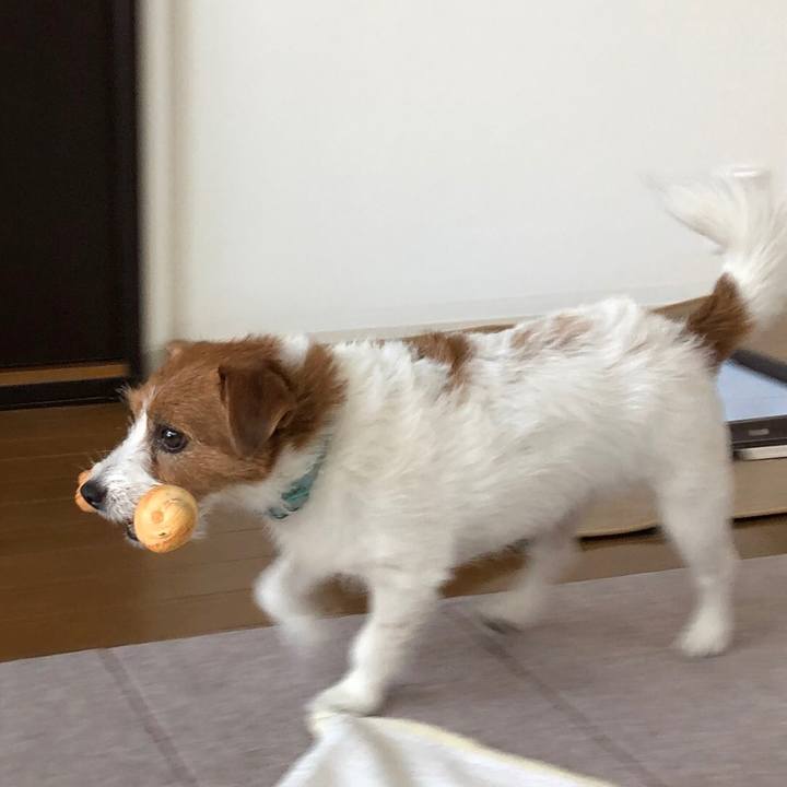 701e7ee5 1d11 496e b2d2 8fbde84ed170 1569838821453