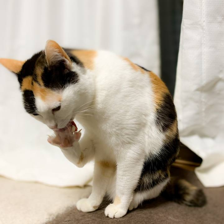 701ea4bf ad6b 4537 a8a1 e075d22883d1 1588811499640