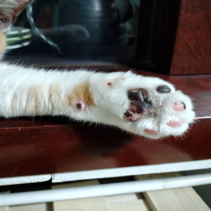 701ee4e5 04f8 40f5 baea 3629bac219e6 1641036835014