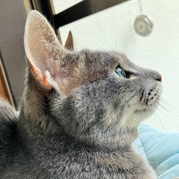 701efebb 3dc9 4d5c 9032 7ff39f786072 1749341068785