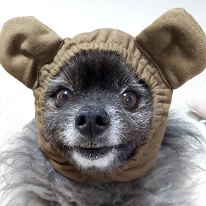 701f01d4 ac70 4c5b b135 d5b1ec32ff43 1563202137881