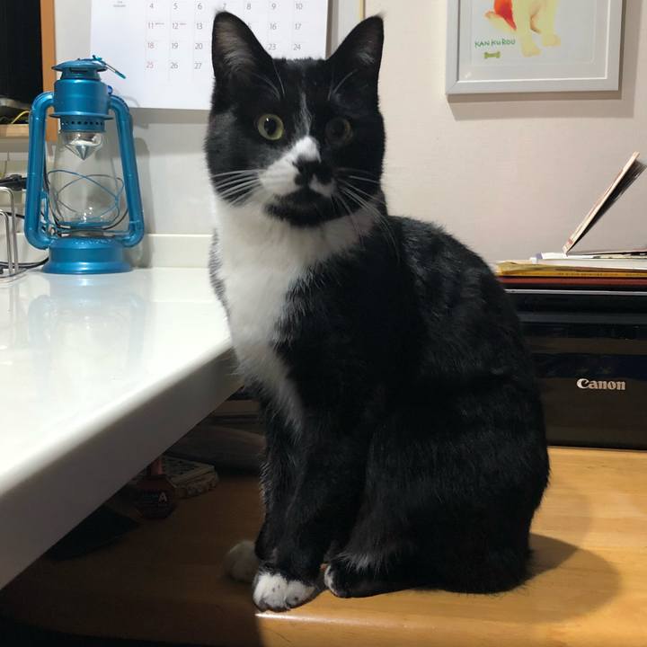 701f2113 a2b7 4015 b35a 7f6e0e0e1ec8 1519962257039