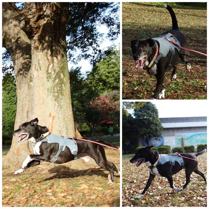 701f4496 d72f 406b 9097 ade6674ab6f5 1730765187515