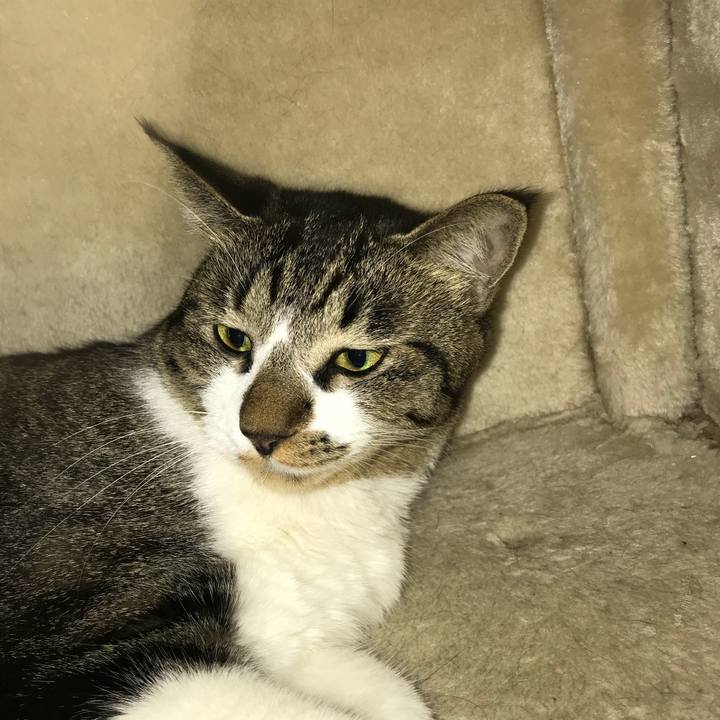 701f624c ca4d 4796 a062 1535135c421c 1537662118246