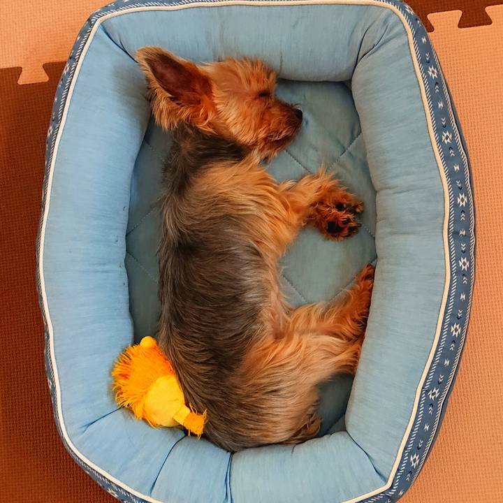 701fa322 b304 459b b7c1 f6ce9914c101 1591589304069