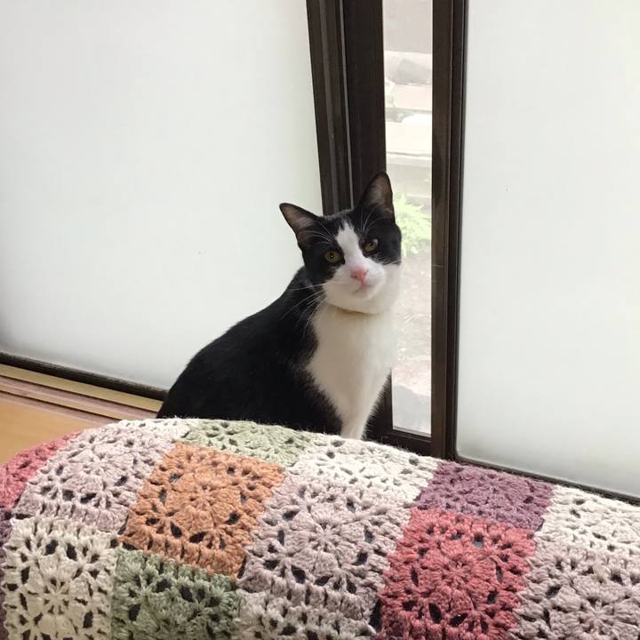 701fbf2b 94af 4689 b4c3 719f1aa96b5a 1650253453509