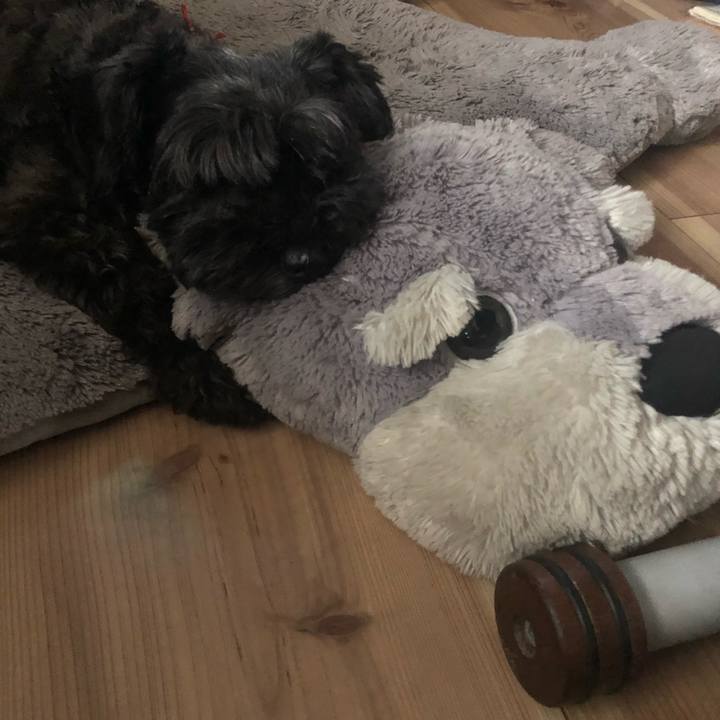 701ffbaf 2a3a 4f81 86b3 ecf0c7da415a 1567912375174