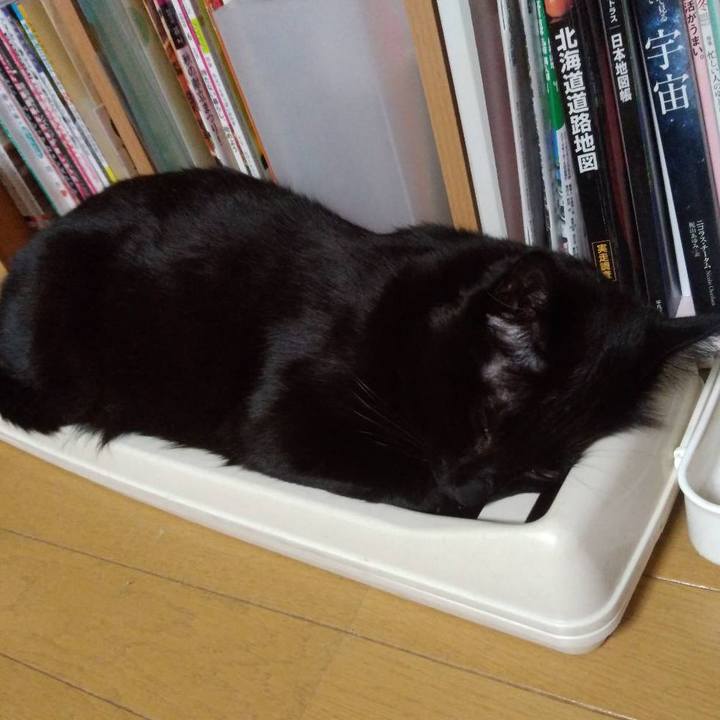 70201ff7 5fe6 49b1 97ae 8300d982aedb 1650456846479