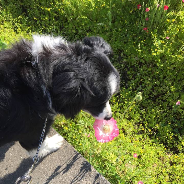 70202f5c d3e7 4de8 89d1 3635a8e08d60 1588206146110