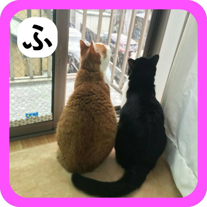 702041dd a300 413e 92cb c0e200e33efb 1514977759074