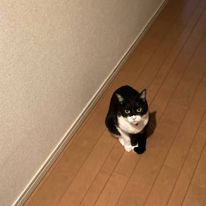 70205bae 03e8 45f7 8197 375a2f533321 1616941285814