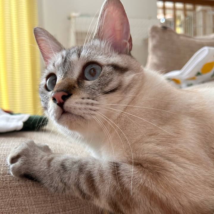 70208267 78d3 448a 8151 12e9c724eebc 1752985799928