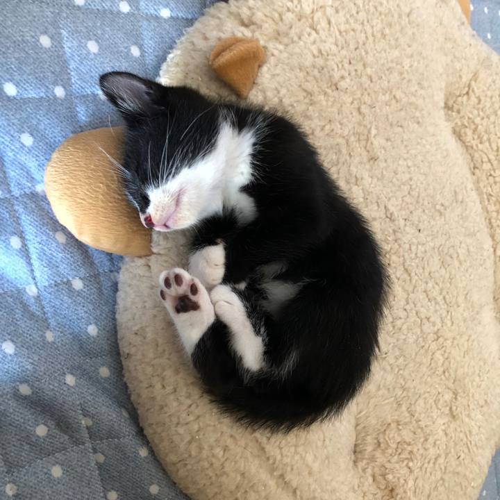 7020b081 935e 4ab6 8988 8751e1c2bd9a 1537594974089