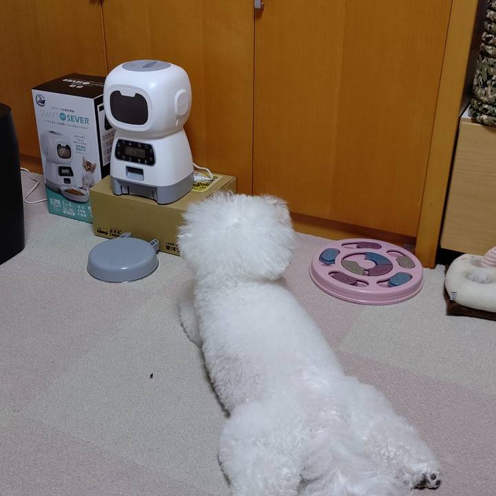 7020b116 3a6d 4cbd 911d 012042b450dc 1728133955809