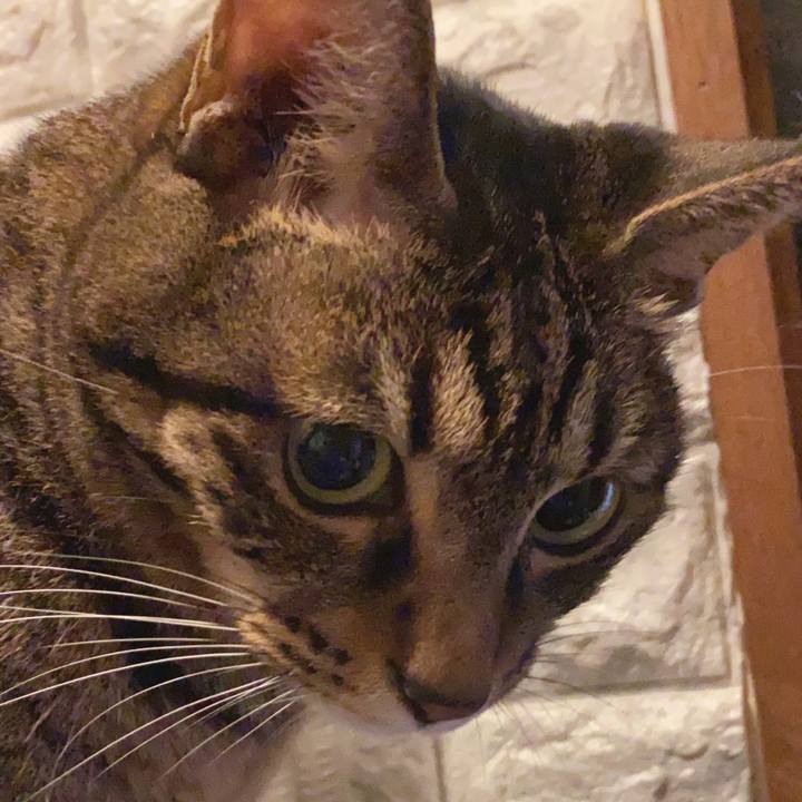 7020b1ca 1ae8 457d a1e2 2c5bd6464210 1637589368109