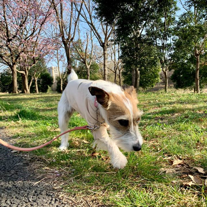 7020b692 be42 4ac7 a2ee a807930cd279 1616057301635