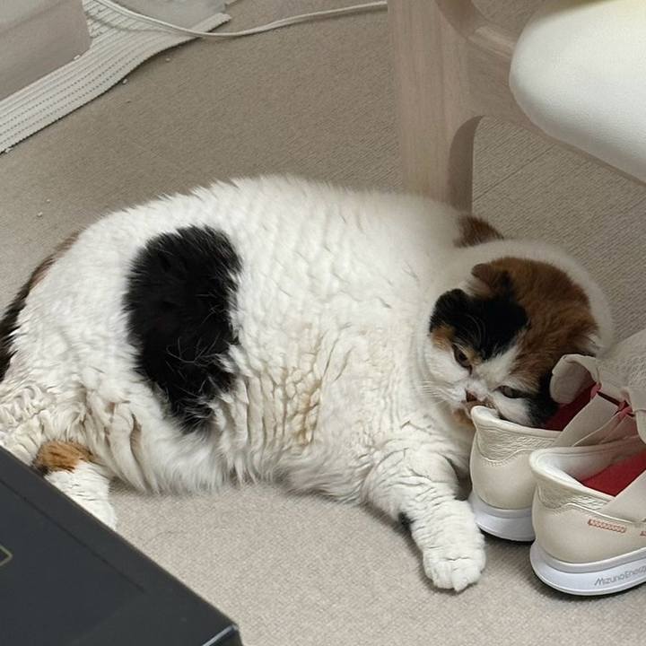 7020d656 b8b0 4acc b874 d885ba660b25 1715043890860