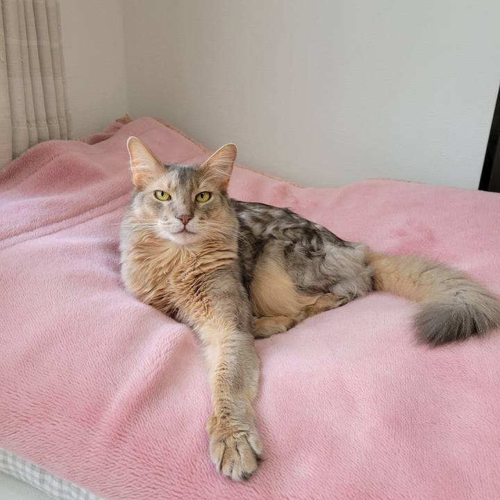 7020de4e 1ff3 4a01 9026 72d8674d1388 1652159389413