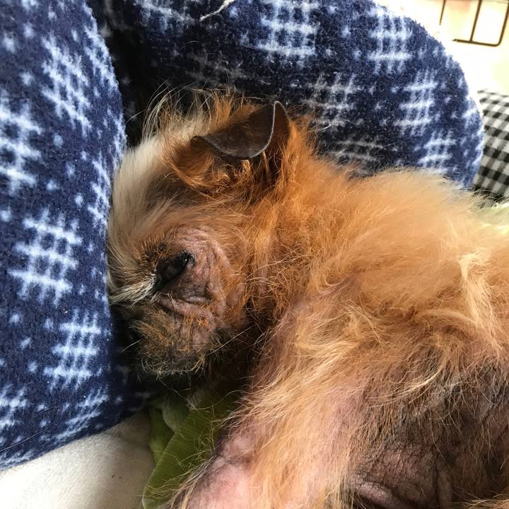 7020ebbd 8292 446a 9043 a6a73f181797 1527654278248