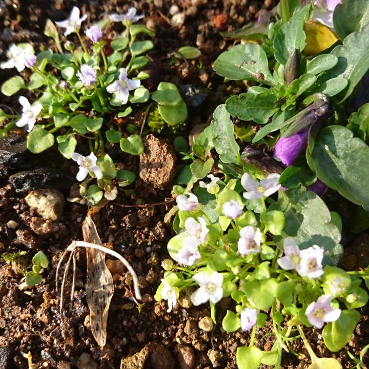 70214078 34f6 4b46 8645 d583d3e40ad8 1518858488092