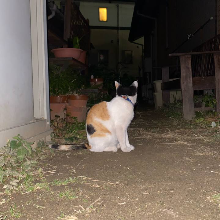 70218aef b200 44dd 9025 d5ff389a2ded 1637155726474