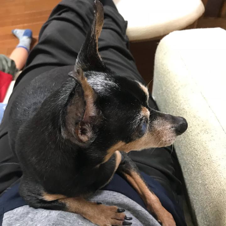 7021ac1b ee6e 4535 ba5a ad83b22fbbf2 1529219606494