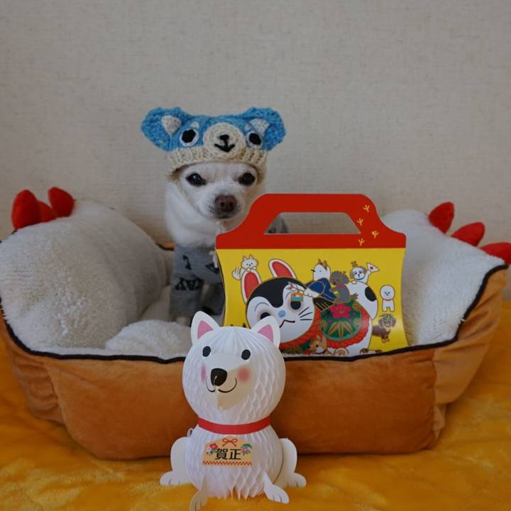 7021d7ca e929 413e 9c7c 64b25906c41a 1516399877157