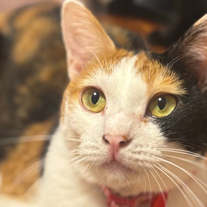 7021eb93 9518 4cd9 8836 0a3362e05dcd 1757491435089