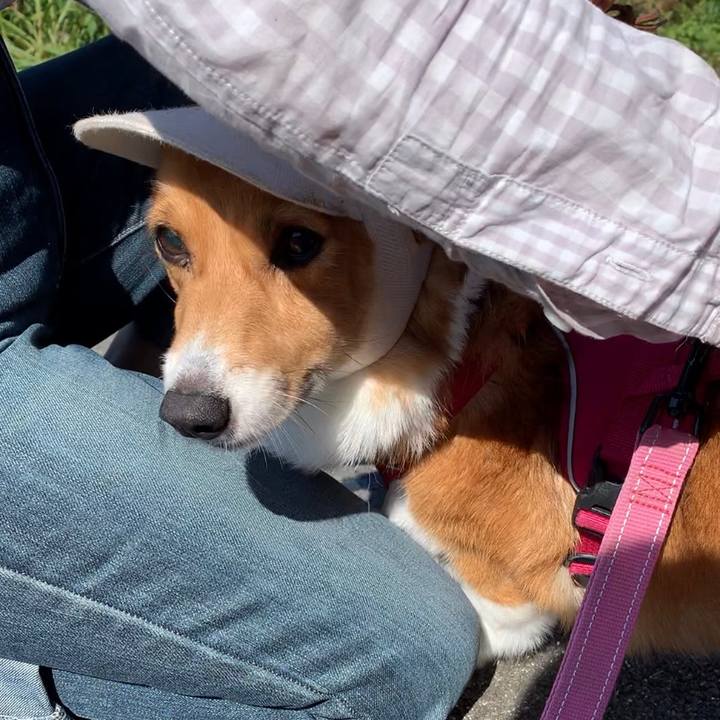 7021f759 3fac 4eb4 b9bc 93e4264a62be 1664672755754