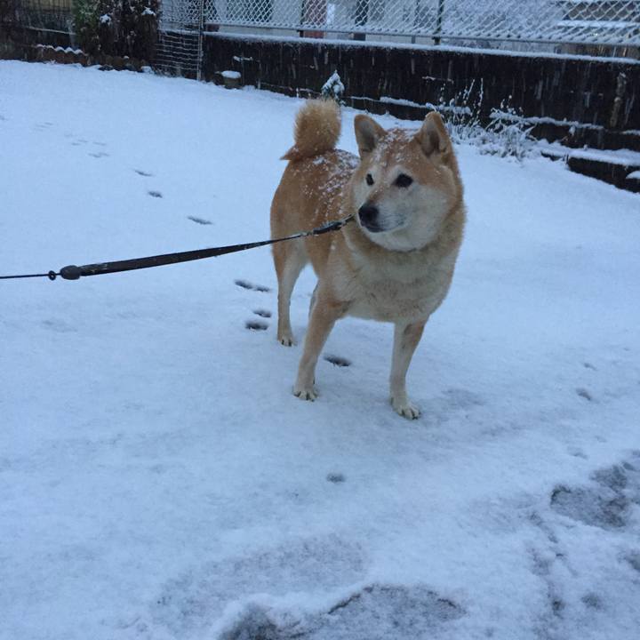 702201ed ab54 4469 bc4e b1c2a47e3391 1516609445136